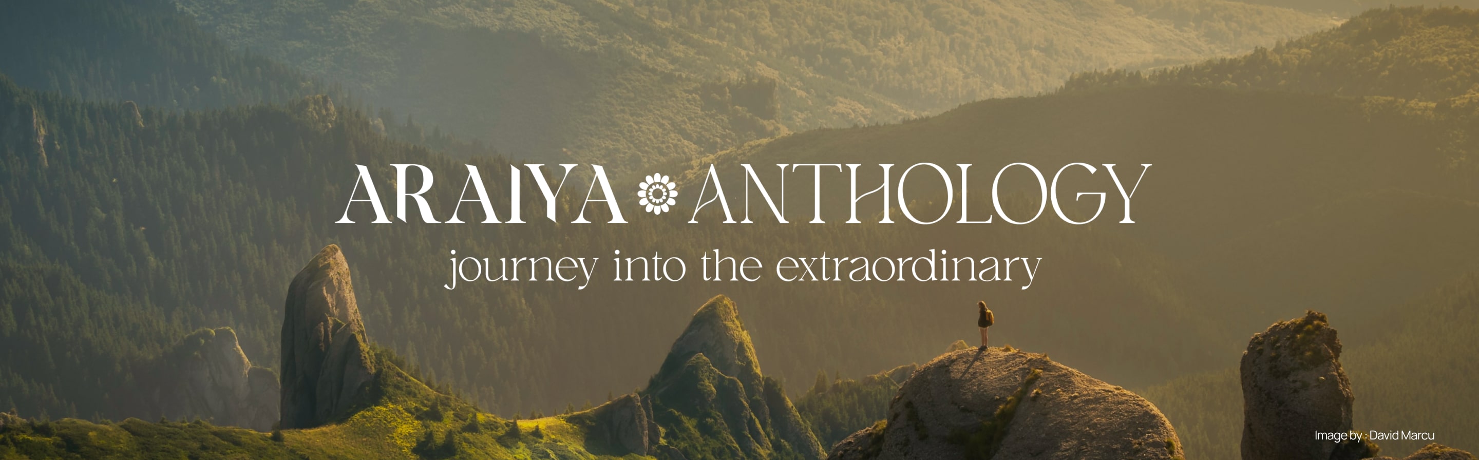 Araiya Anthology