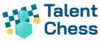 Talent Chess - a web based business simulation game for talent planning and assessment